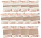 Griffin Silk Bead Cord Perlseide – Size Assortment 0-16 – 2 Meters per Card – Stainless Steel Needle Attached – for Knotting Pearls, Gemstones, Crystals and Beads